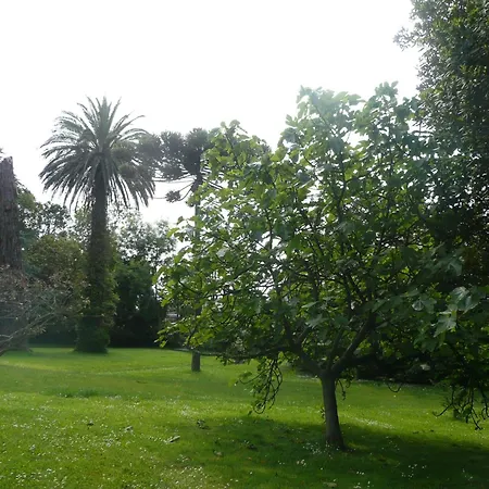 Pensjonat Carolinas Garden