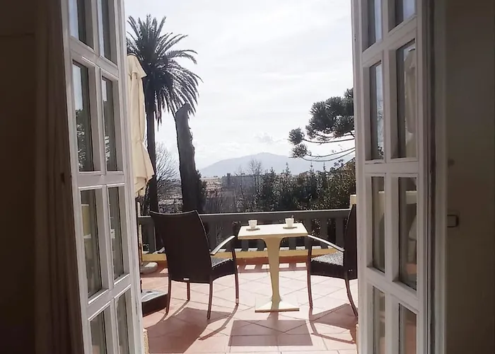 Carolinas Garden Santander