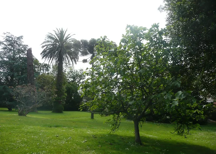 Гостевой дом Carolinas Garden